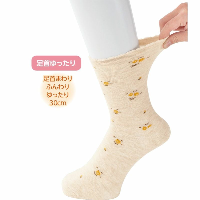 000000005831-01.jpg?size=m&w=