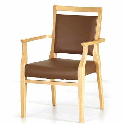 手すり付きダイニングチェアおつたいくん2脚セット Care-114-AC 介護 