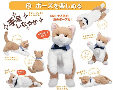 なごみケーションにゃんこ ぬくもり | 介護用品・福祉用具の専門通販