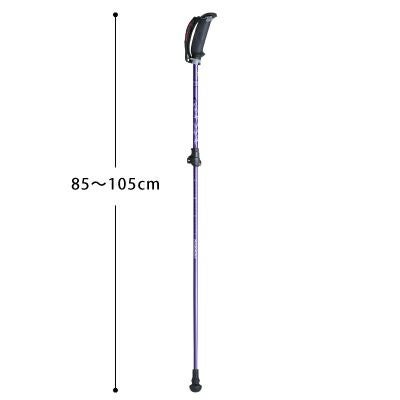 歩ミング APAI-7H204 85~105cm ハングストップ式固定 ノルディック