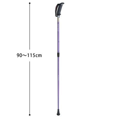 歩ミング APBC-202A 90~115cm 回転摩擦式固定 ノルディック