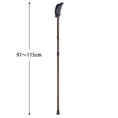 歩ミング APBE-205A 91~115cm ラチェット固定 ノルディック