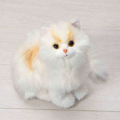 000000019973-01.jpg?size=m&w=